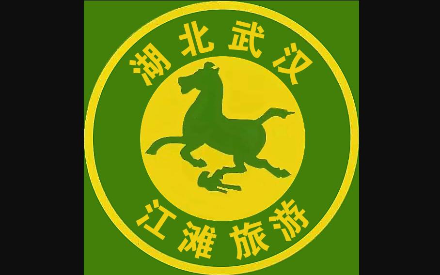 武汉市铁运新能源汽车发展有限公司